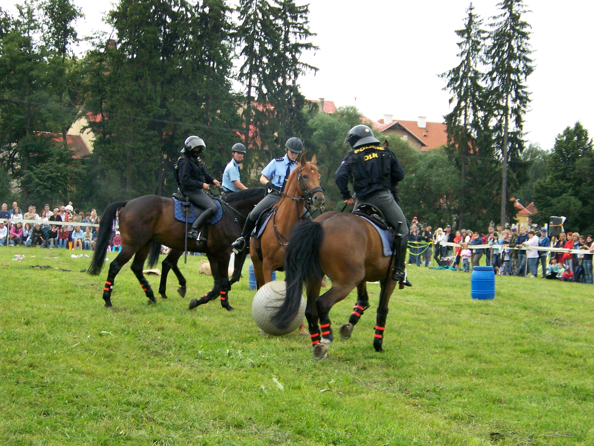 Jízdní policie 4