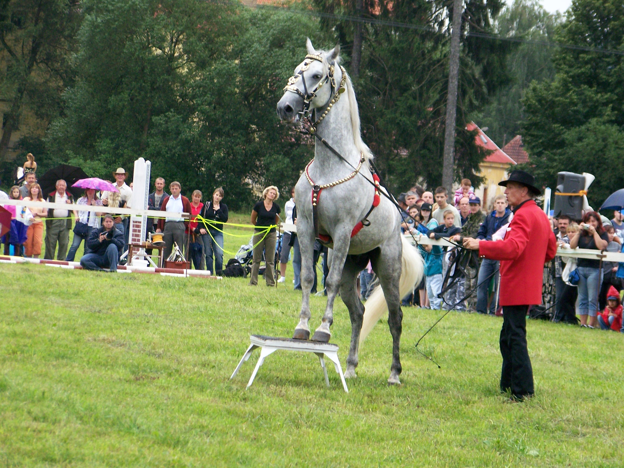 Pan Doubek 2