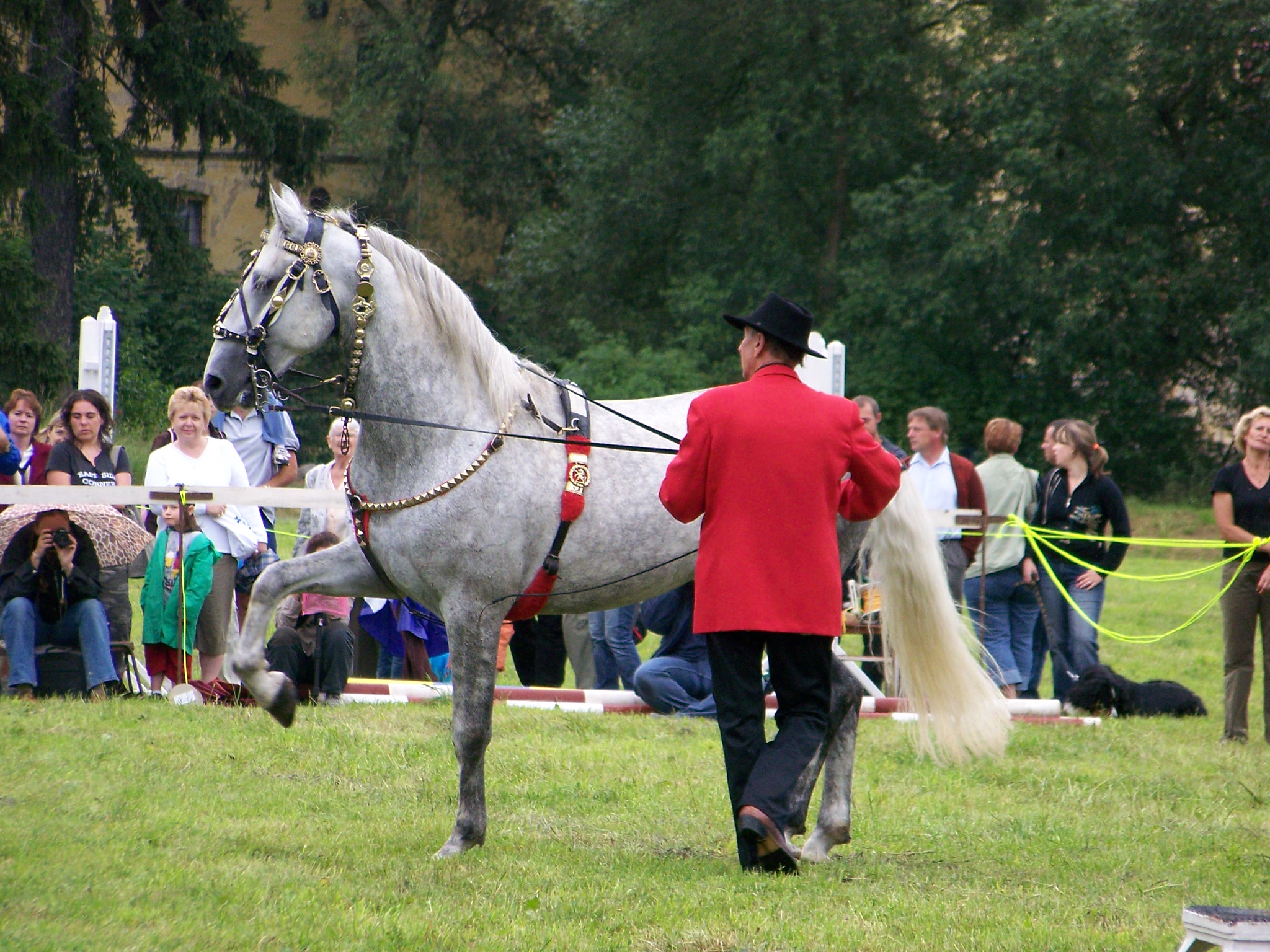 Pan Doubek 3