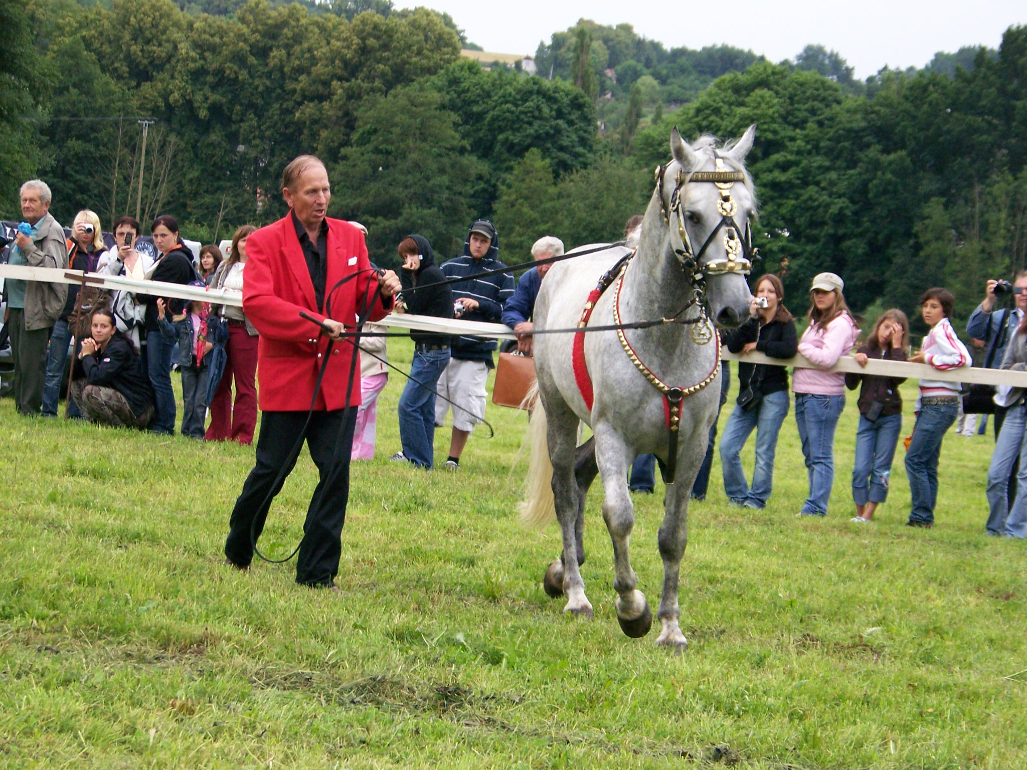 Pan Doubek 6