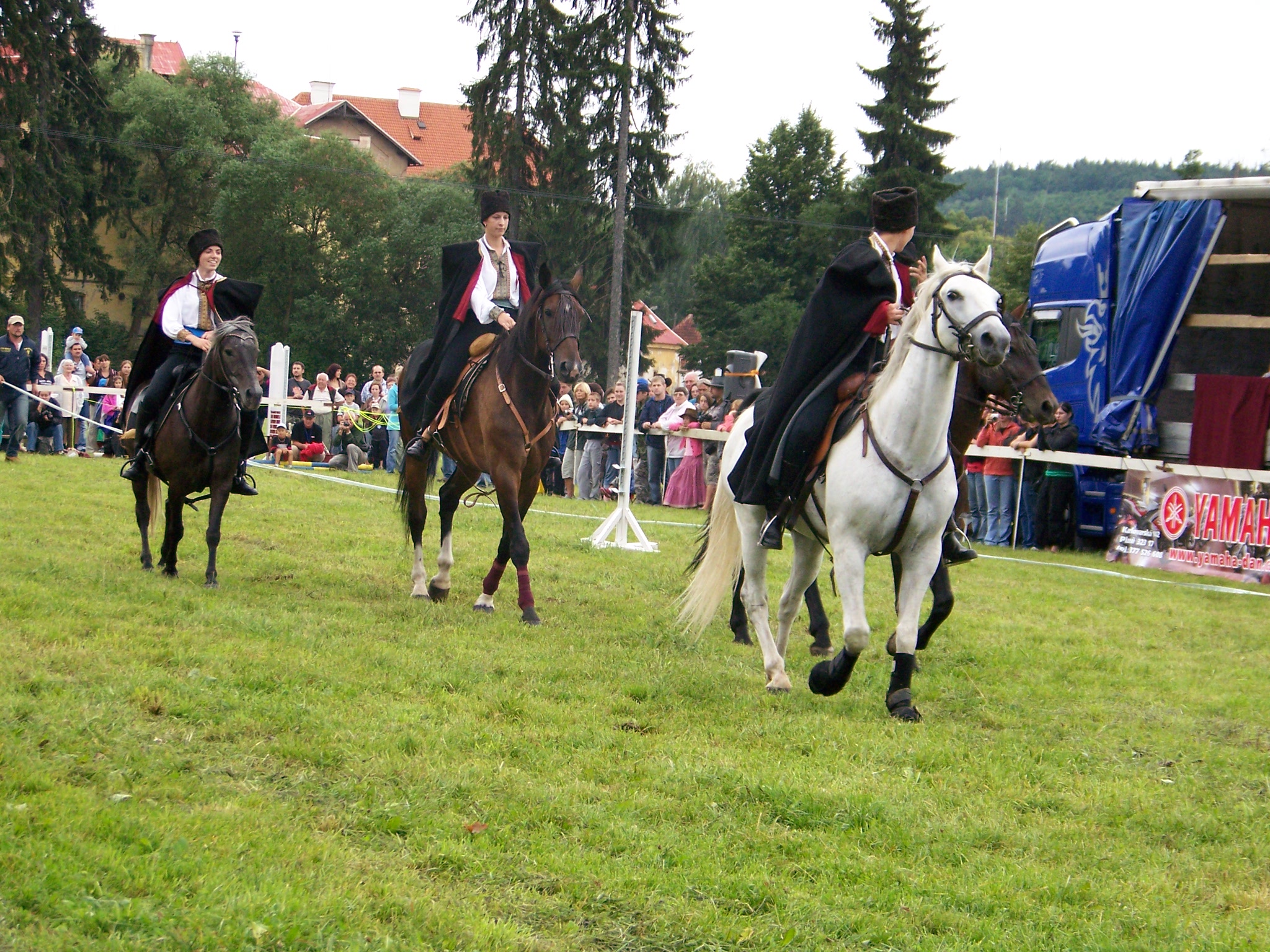 Caballos 1